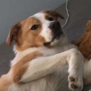 Meet your Posher, Cody